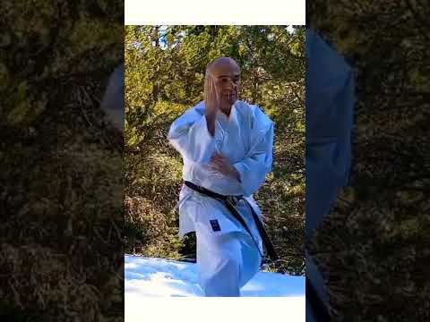 Shisochin kata goju ryu