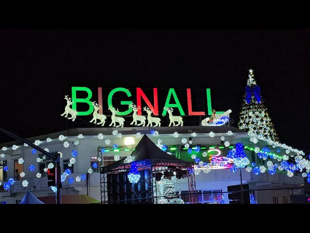 Bignall Law dedicates tree-lighting to hurricane victims, calls for better housing solutions