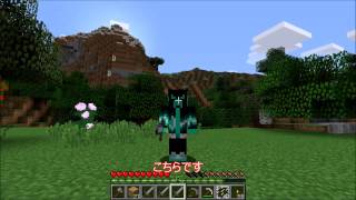 マイクラ スキンの紹介動画（変更するかも）