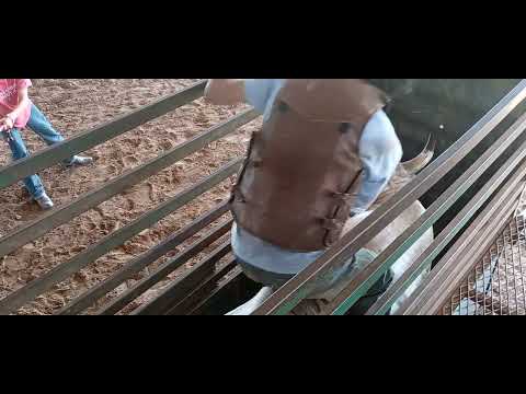 Turbo Bucking 19JUN22