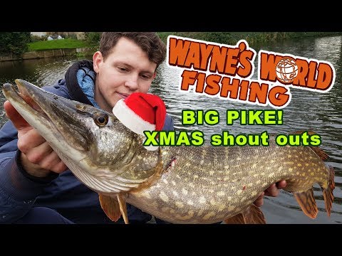 Fisherman holding a pike wearing a christmas hat
