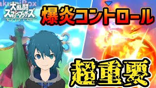 【スマブラSP】爆炎の距離コントロールが勝敗を握る！パルテナと逆VIP打開の道
