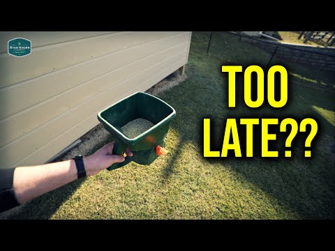Is It TOO LATE To Dormant Seed Your Lawn??