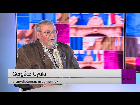 Mozaik – közéleti magazin – vendég: Gergácz Gyula – 2025.12.04.