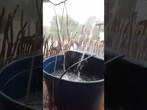 Sítio São Gonçalo Aiuaba Ceará agora a tarde 30/03