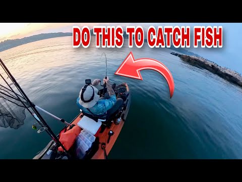 CATCHING OUR OWN BAIT and NONSTOP FLUKE ACTION! CRAZY BITE! | The Bass Armada