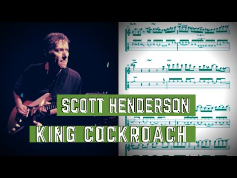 Scott Henderson - King Cockroach Guitar Solo [Chick Corea Elektric Band]