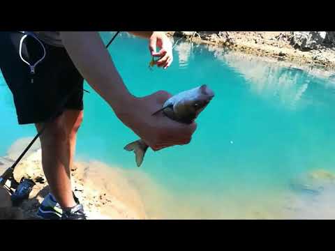 Chub fishing on Piva Lake