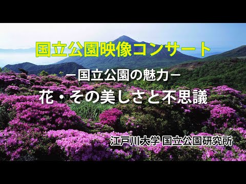 国立公園の魅力2「花・その美しさと不思議」