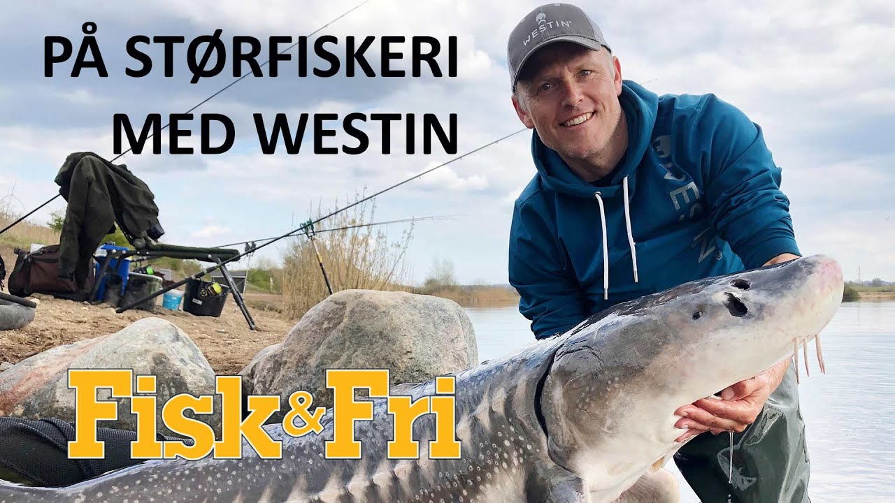 PÅ STØRFISKERI MED WESTIN