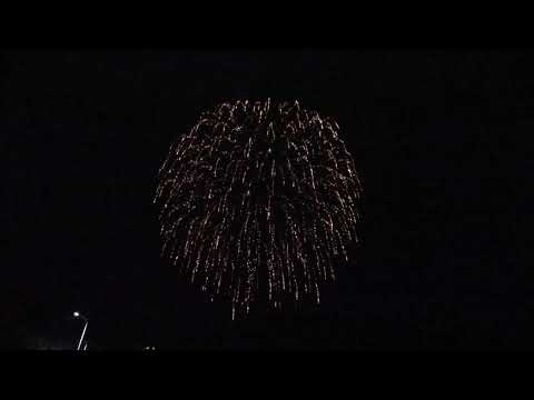 2020 DISPLAY SHELLS (22)-Gold  Willow