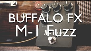 Video thumbnail for Buffalo FX M-1 review by gilmourish