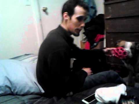 Pitbull flex ft. Tony Snow