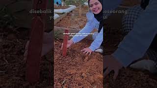 Download lagu GENAP SETAHUN MAK AKU PERGI 💔 AL FATlHAH mp3 Download lagu GENAP SETAHUN MAK AKU PERGI 💔 AL FATlHAH mp3