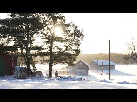 Unser täglich Brot...