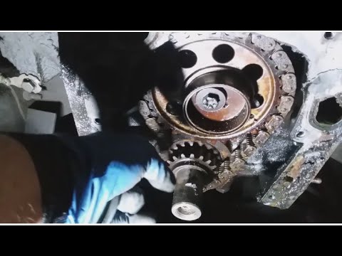 Vintage Ford Truck Timing chain replace 351M