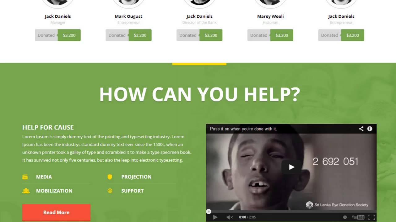 Donation Responsive WordPress Theme - Video ServerThemes.Net