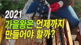 올해 마지막 여왕 만들기, 가을왕은 언제까지 만들면 좋을까?