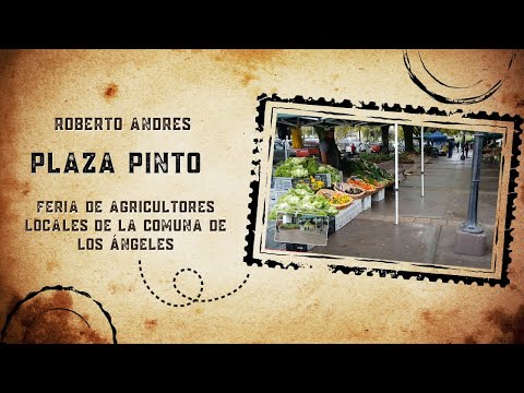 Plaza Pinto Los Ángeles, VIII Reg del Biobío. Feria de agricultores locales, gente de nuestra tierra