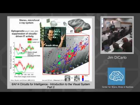 6/4/14 Circuits for Intelligence - Jim DiCarlo: Introduction to the Visual System, Part 2