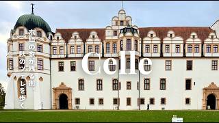 【 秋のドイツ旅🇩🇪 】北ドイツの真珠、木組の家が残る街、秋のツェレを歩く