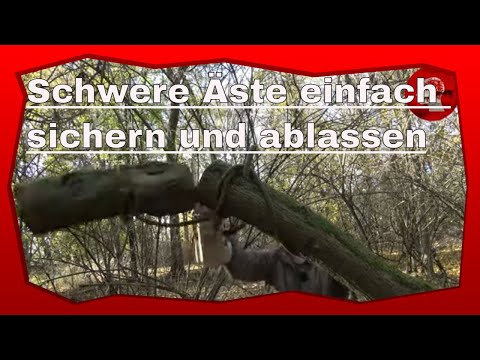 Schwere Äste  einfach sichern und ablassen!
