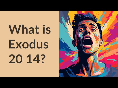 What is Exodus 20 14?