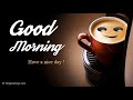 Good Morning Video Good Morning Song Good Morning Good Morning Status Good Morning Whatsapp