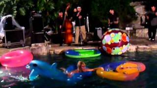 Dusty Chance & the Allnighters at the Playboy Mansion - Wild Records