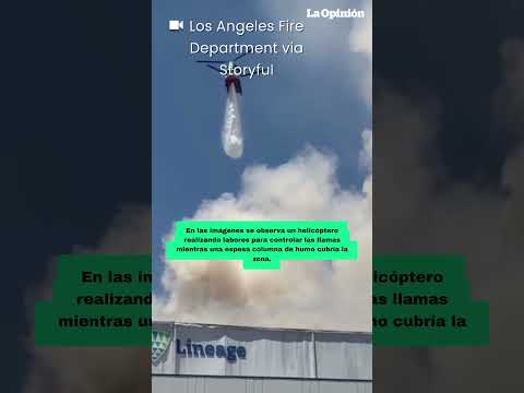 Emergencia en California por múltiples incendios en Los Ángeles: 5 personas han perdido la vida