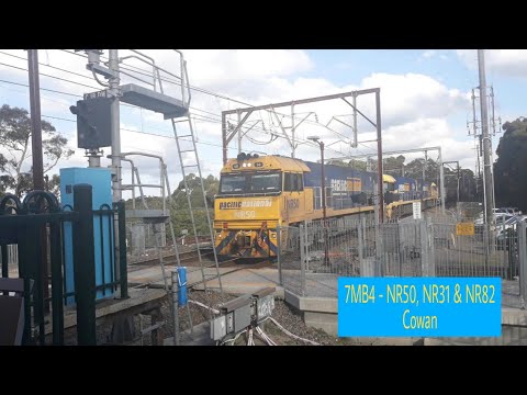 7MB4 - NR50, NR31 & NR82 - Cowan