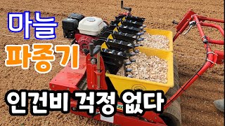 마늘 파종기 비싼 인건비 걱정 없는 2.500평 하루면 끝 대~박