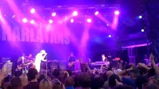 Impossible, The Charlatans Live at Delamere Forest (2013).