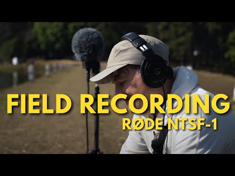 Is the RØDE NTSF-1 Still Worth It in 2025? Let’s Find Out!