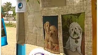 Asà se vivió la feria educativa para el desarrollo ambiental en Solymar.