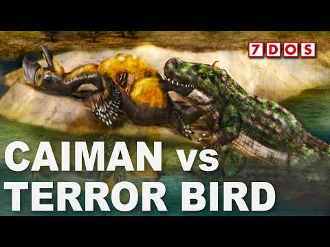 Prehistoric Caiman vs Terror Bird: Fossil Reveals Brutal Encounter
