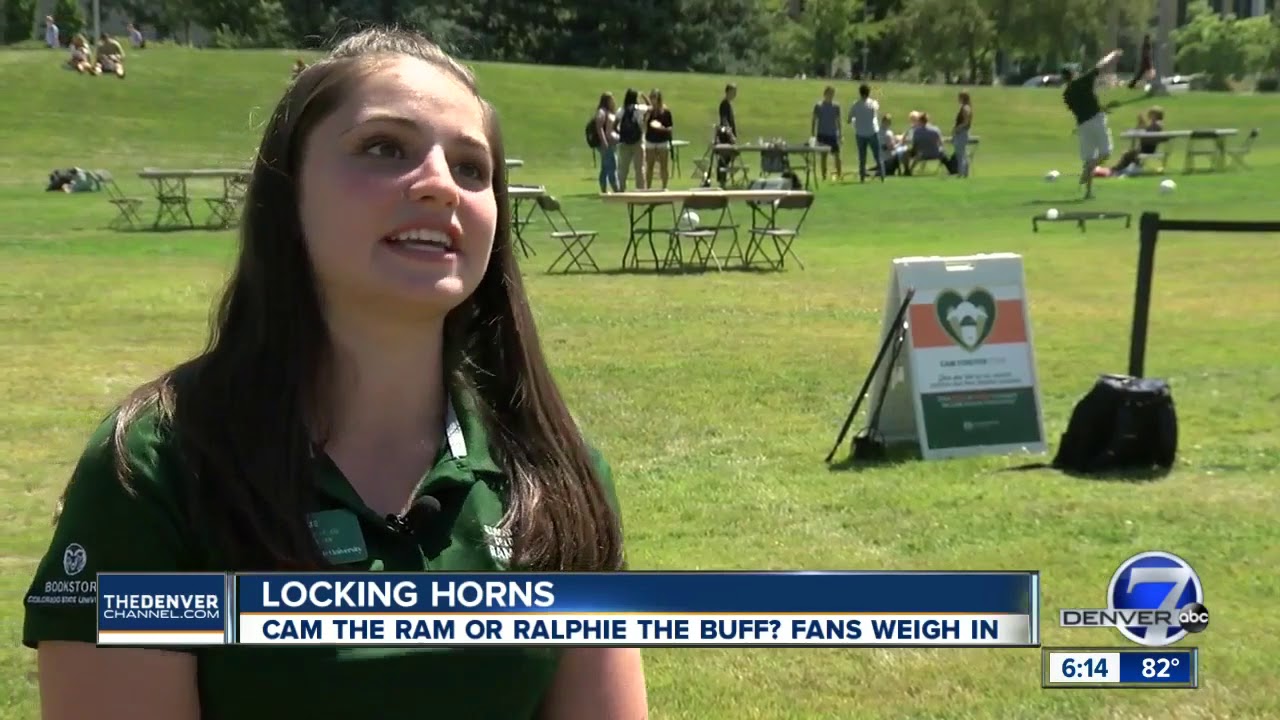 Ralphie the Buffalo or Cam the Ram? The Rocky Mountain Showdown of animal mascots