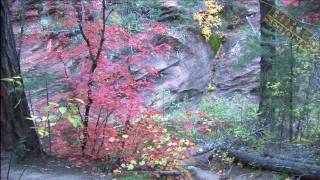 preview picture of video 'Fall in Sedona - Sedona Weather'