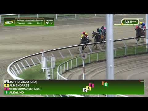 C2 | Zorro Viejo (USA) | La Rinconada International Racecourse | Meeting 01 | 2026