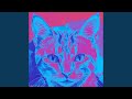 Leo The Cat