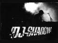 DJ Shadow - Give Me Back The Nights
