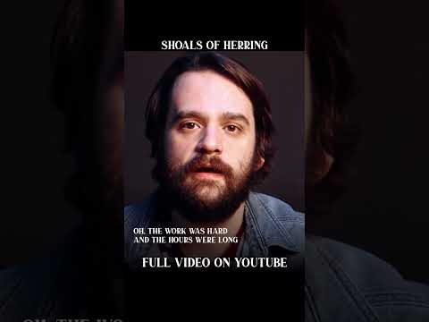 NEW VIDEO | Shoals of Herring #short