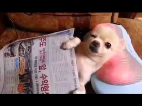 BratPrince’s Video 124785056594 V6EqTTHz_8E