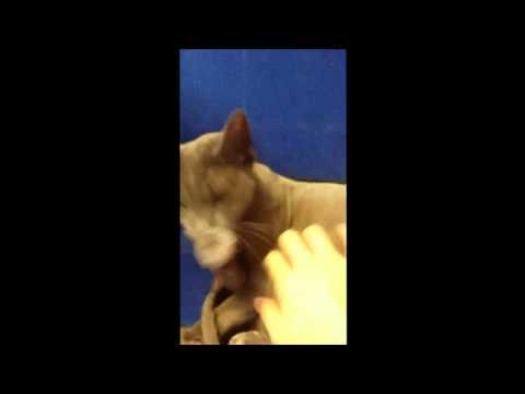 [Twitvid] 120622 Heedictator update ~ Rotate