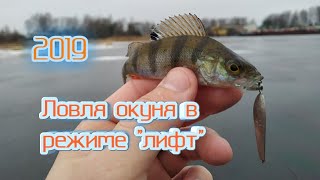 Рыбалка на рыбинском водохранилище декабрь 2019 отчеты