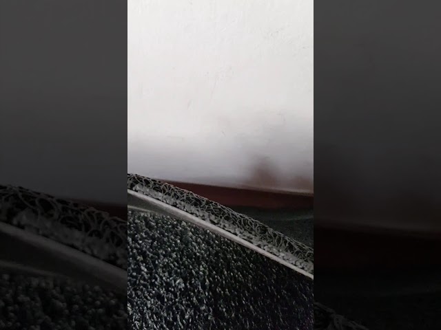 Vídeo relacionado con FCSDETAIL Alfombra Atrapapolvo, Alfombra Antideslizante Lavable en Lavadora, Felpudo de Entrada con Microfibras Suaves Absorbentes para Perro, Entrada, Puerta y Pasillo