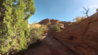 Overview video of this awesome race.