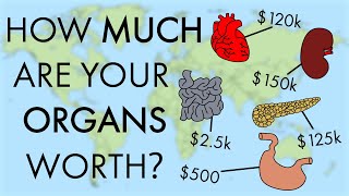 How Much Are Your Organs Worth?