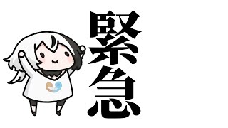 【緊急】ちょいえちざつだん【シルフィード=ロビン】