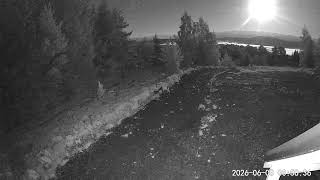 2026-06-03 capre